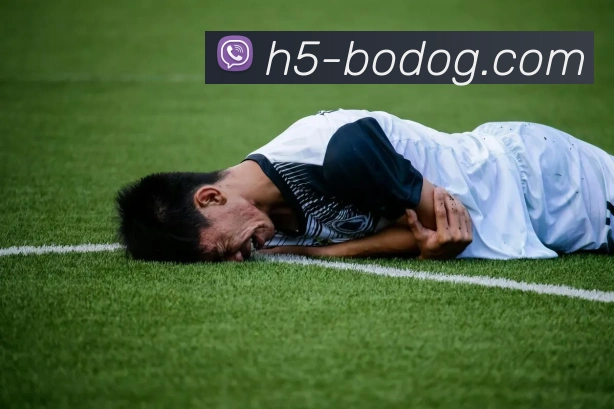 App Interface Preview