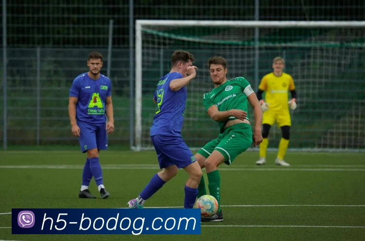 博狗娱乐APP 封面图