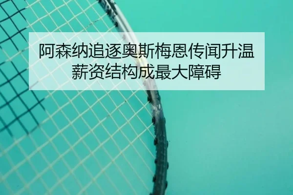 阿森纳追逐奥斯梅恩传闻升温 薪资结构成最大障碍 - bogou
